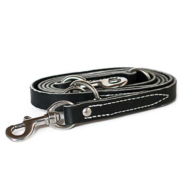 leerburg leash