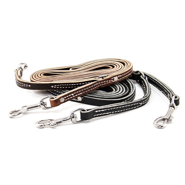 prong collar leash