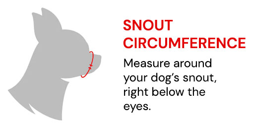 Snout circumference visual