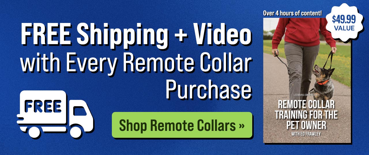 Get Free Shipping + Free Video with Every Remote Collar Purchase