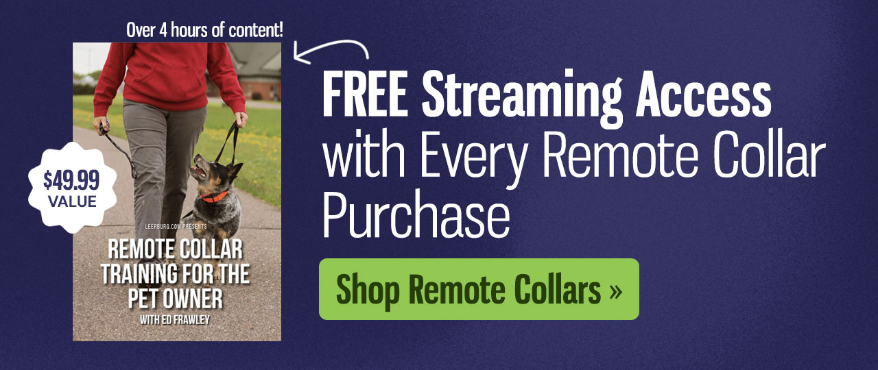 Get Free Stream Access with Every Remote Collar Purchase
